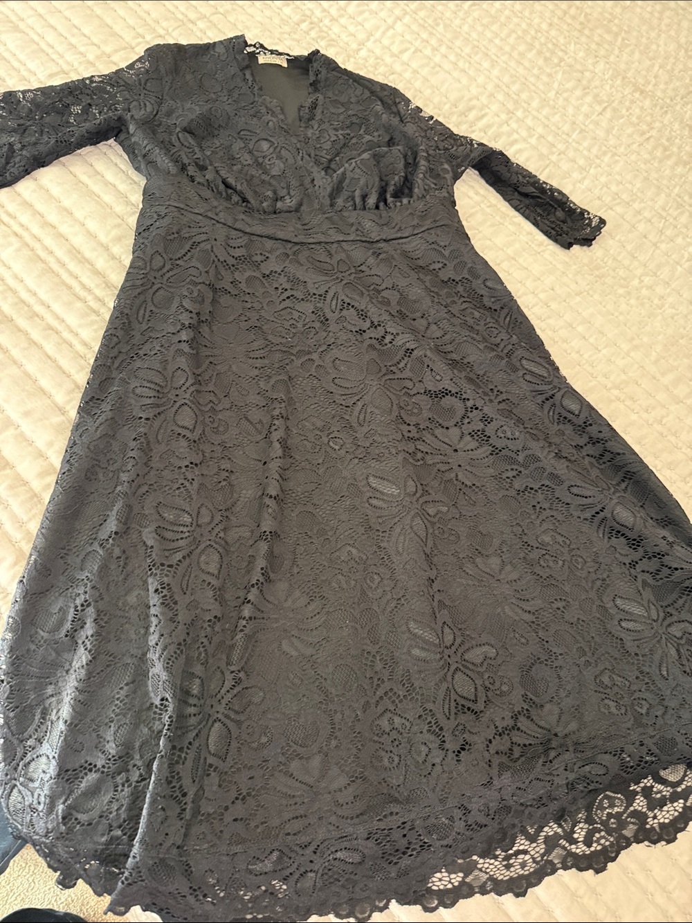 Kiyonna Black Floral Lace Long Sleeve V-Neck Dress